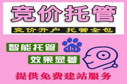 竞价推广SEM托管服务案例解析